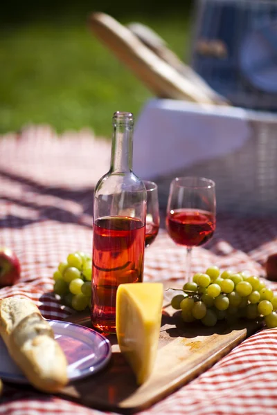 Vin et panier de pique-nique sur l'herbe — Photo