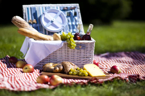 Picnic en la hierba —  Fotos de Stock