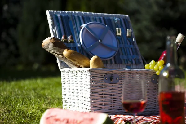 Picnic on the grass — Stock Photo, Image