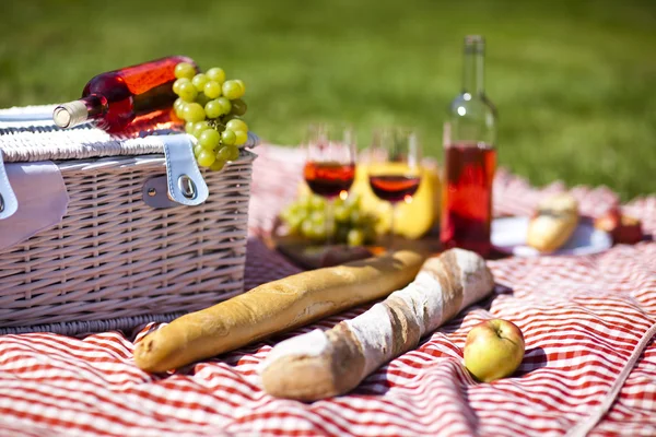 Wine and picnic basket on the grass — Stock Photo, Image