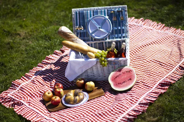 Picknick op het gras — Stockfoto