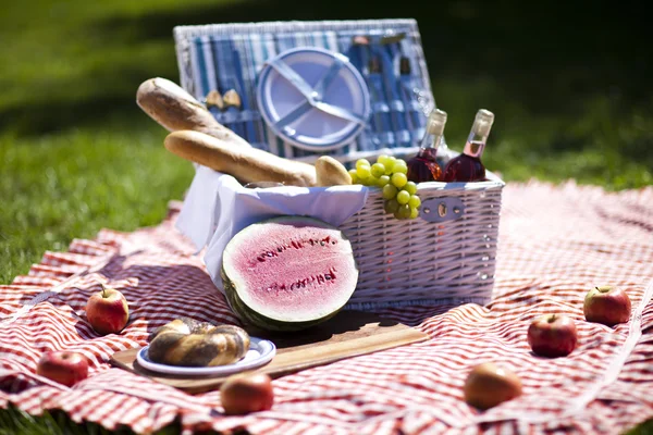 Picknick op het gras — Stockfoto