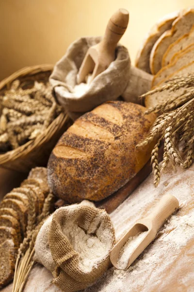 Variety of whole wheat bread — Stock Photo, Image