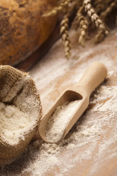 Traditional bread — Stock Photo, Image