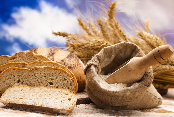 Backwaren, Brot — Stockfoto