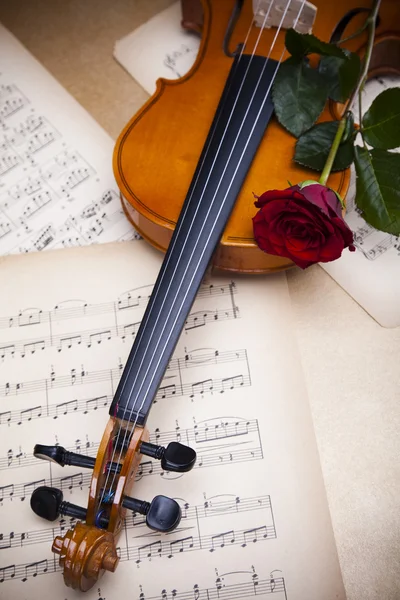 Walentynki skrzypce — Zdjęcie stockowe