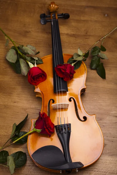 San Valentino violino — Foto Stock