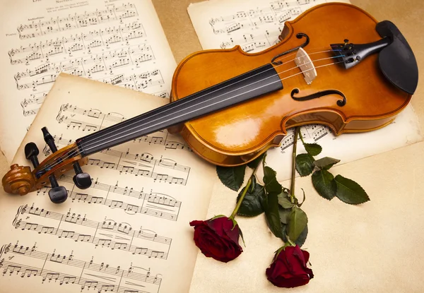 Valentijn viool — Stockfoto