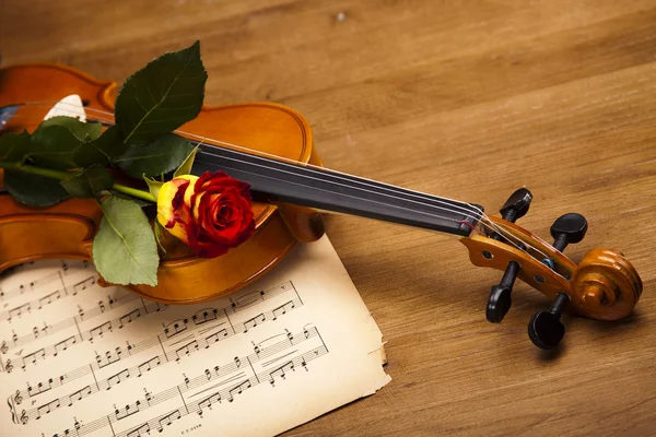 Valentine violin — Stock Photo, Image