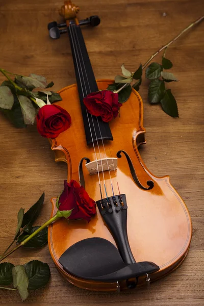 Valentine violin — Stock Photo, Image