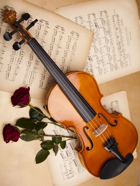 Red rose, violin — Stock Photo, Image