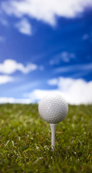 Golf club — Stock Photo, Image