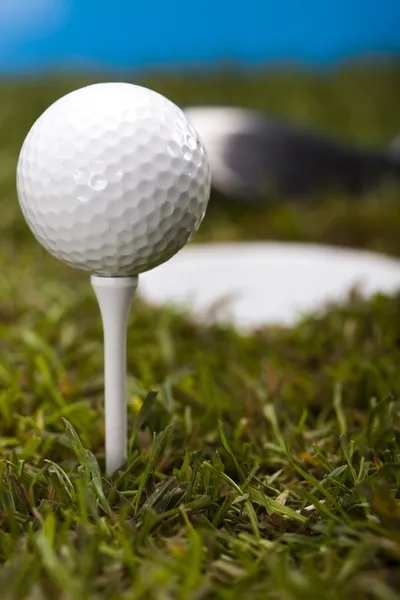 Golf club — Stock Photo, Image