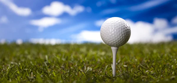 Golf club — Stock Photo, Image