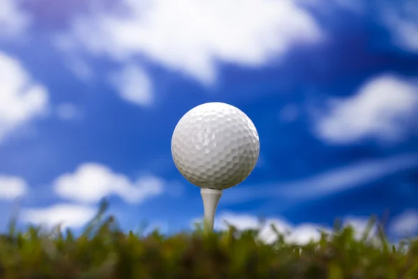 Golf club and ball in grass — Stock Photo, Image