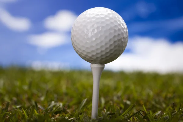 Golf club and ball in grass — Stock Photo, Image