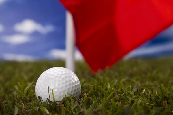 Golf club — Stock Photo, Image