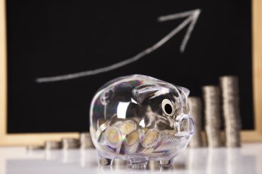 domuz banka ve para sikke