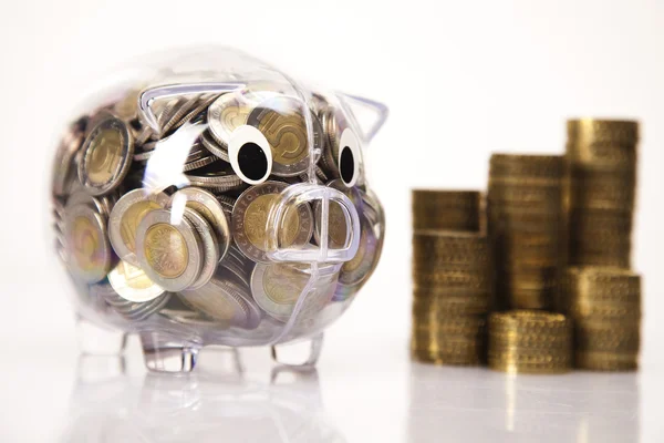 Pig bank and money coin — Stock Photo, Image