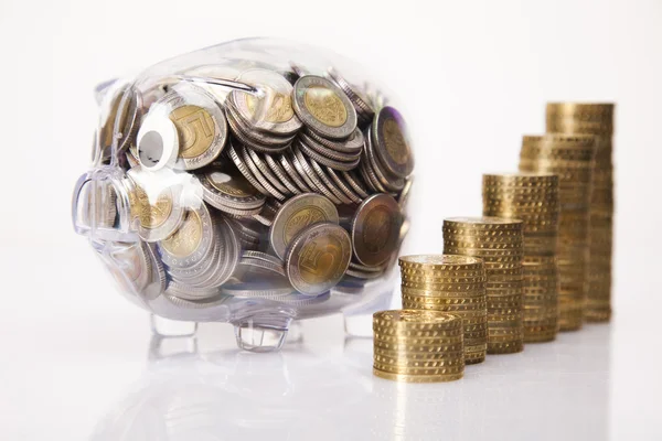 Piggy bank and money — Stock Photo, Image