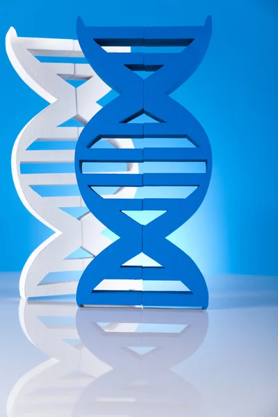 Dna-Moleküle — Stockfoto