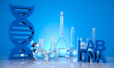 DNA molekülleri