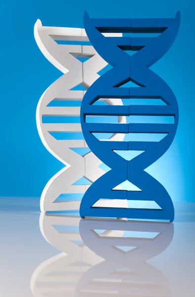 Dna-Moleküle — Stockfoto