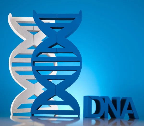 Dna-Moleküle — Stockfoto