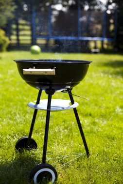 piknik, ızgara zaman, ızgara