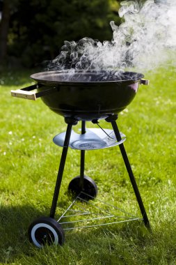 Grill on green grass