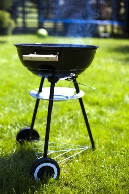 Grill on green grass