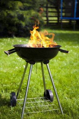 ateş, sıcak ızgara