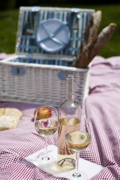 Wine and picnic basket on the grass — Stock Photo, Image