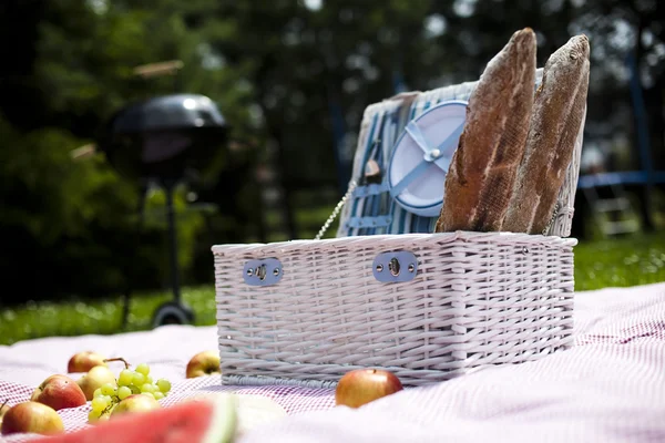 Picknick i gräset — Stockfoto