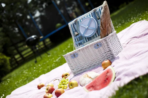 Piknik na trawie — Zdjęcie stockowe