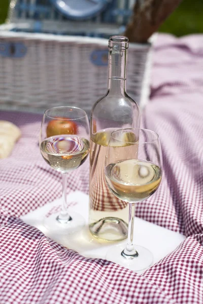 Wine and picnic basket on the grass — Stock Photo, Image