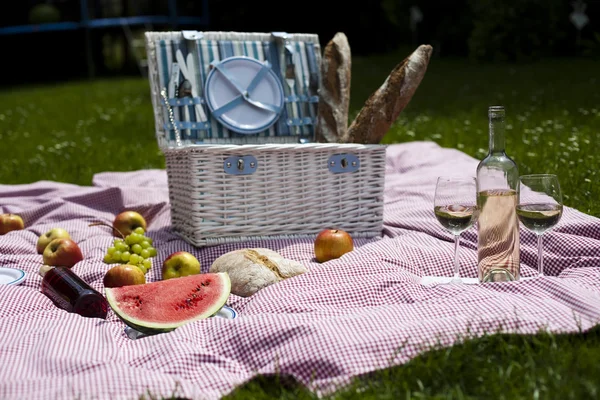 Picknick i gräset — Stockfoto