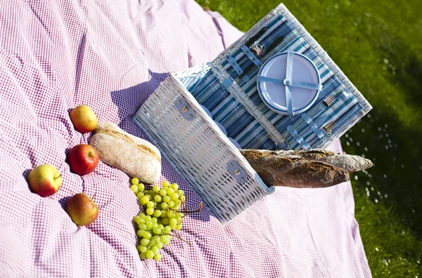 Piknik a fűben — Stock Fotó