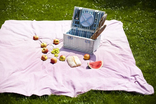 Picknick im Gras — Stockfoto