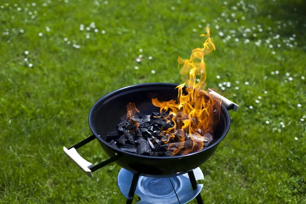 Tűz, forró grillezés — Stock Fotó