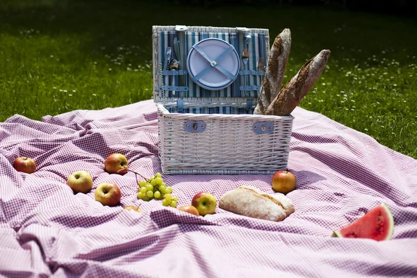 Picknick i gräset — Stockfoto
