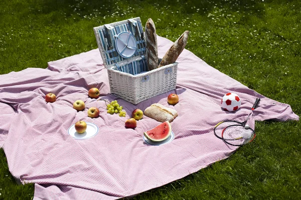 Piknik a fűben — Stock Fotó