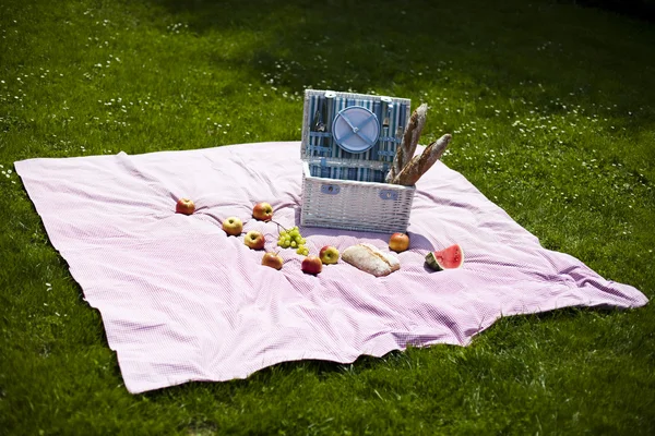 Picnic sull'erba — Foto Stock