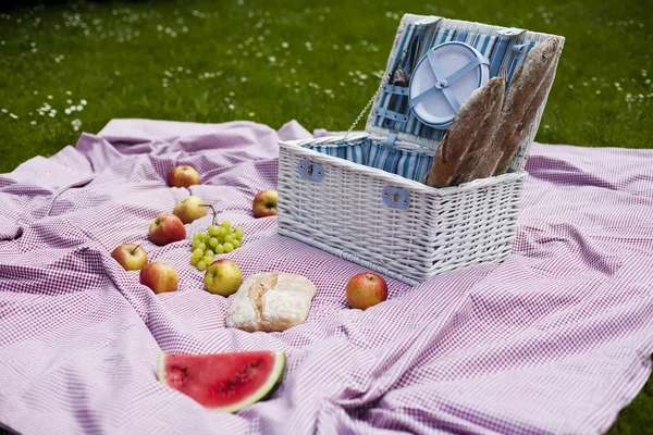 Picknick i gräset — Stockfoto