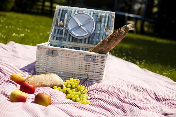 Picknick op het gras — Stockfoto