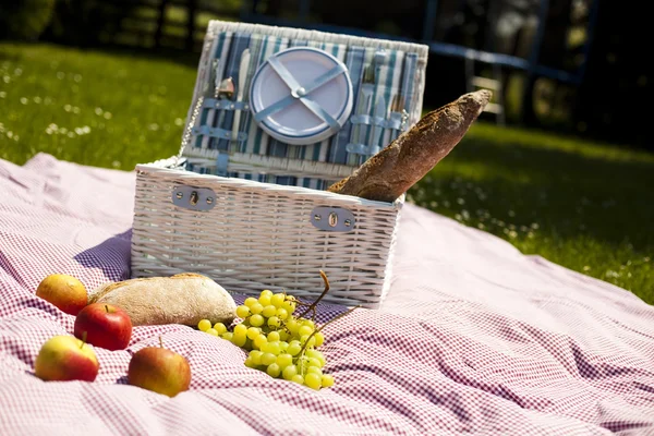 Picknick i gräset — Stockfoto