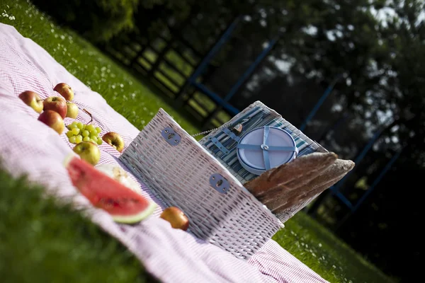 Wijn en picknick mand op het gras — Stockfoto