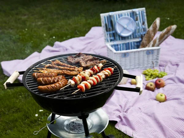 Picknick, grillen tijd, grill — Stockfoto