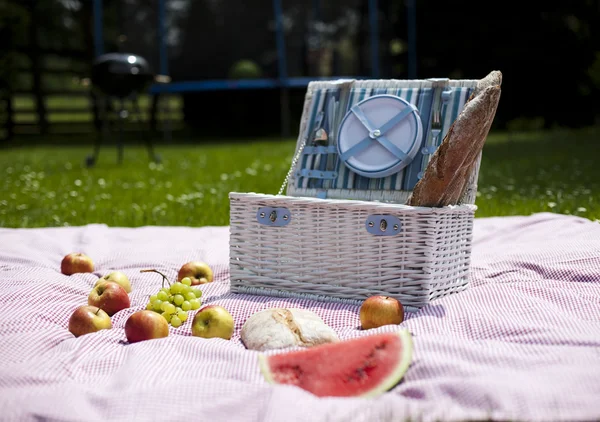 Picknick im Gras — Stockfoto