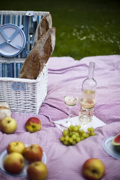 Wine and picnic basket on the grass — Stock Photo, Image